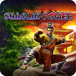SHAOLIN POWER